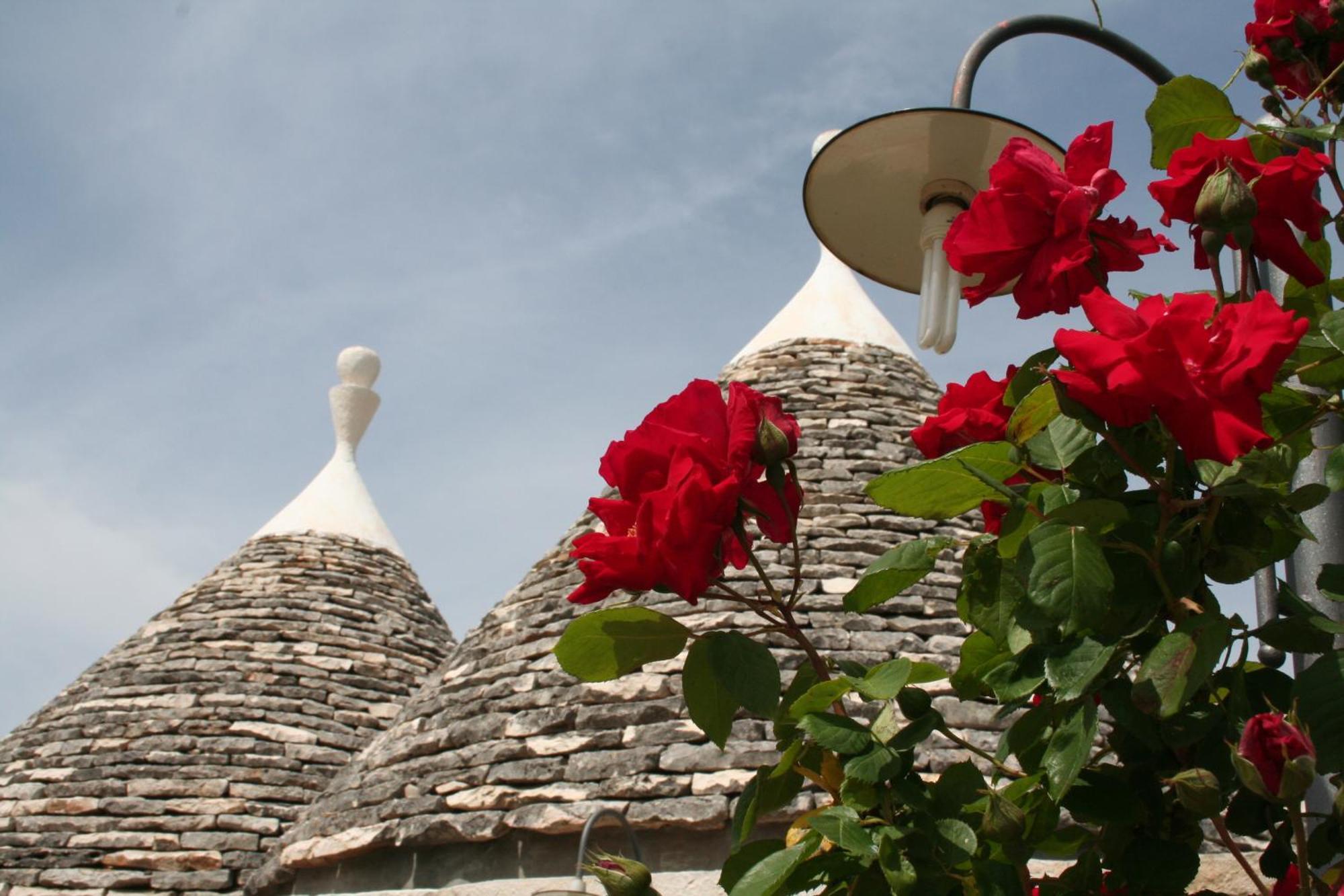 Vacanza In Puglia Альберобелло Екстер'єр фото